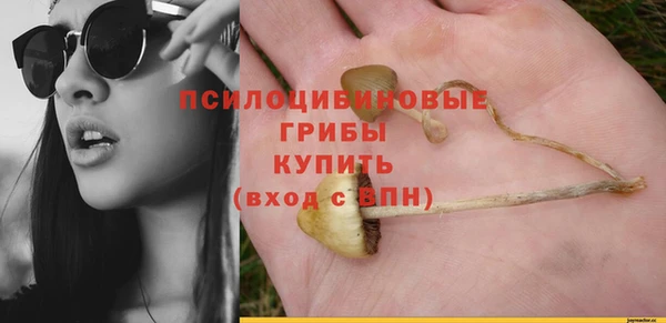 мдпв Липки