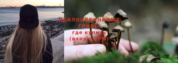 шишки Лиски