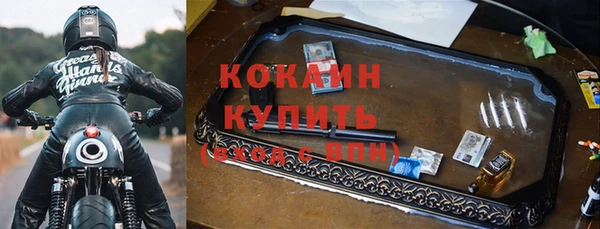 шишки Лиски