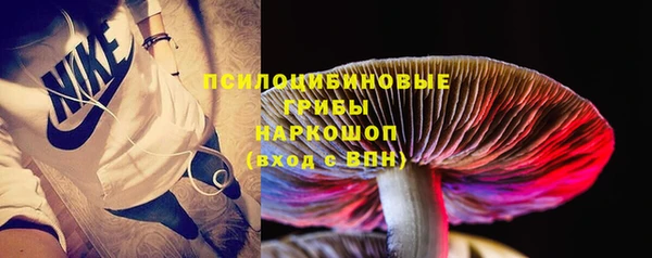 мдпв Липки