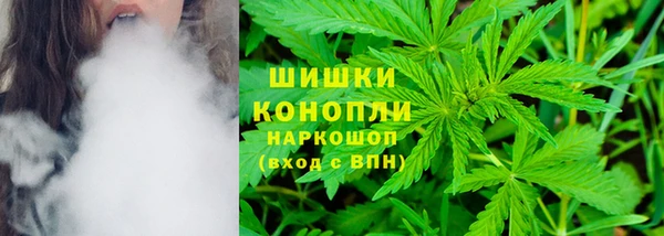 шишки Лиски