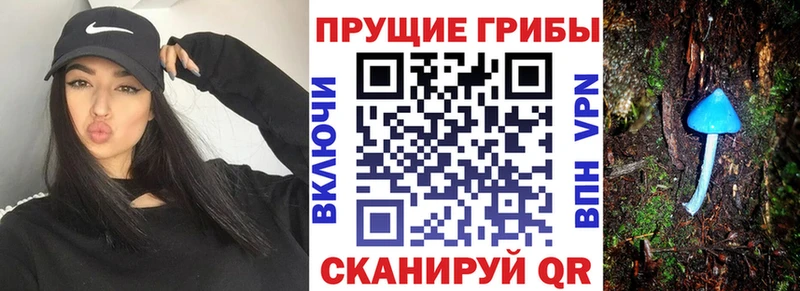 Галлюциногенные грибы прущие грибы  Купить закладки  Одинцово 