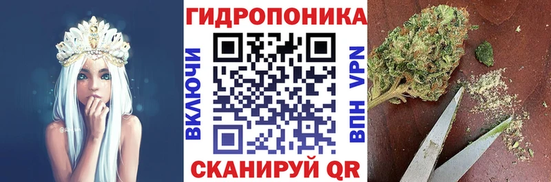 Канабис планчик  Купить закладки  Одинцово 